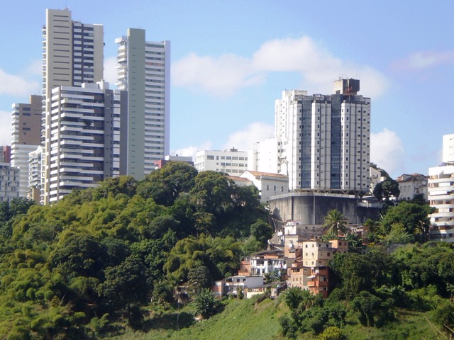 Stadsjungle